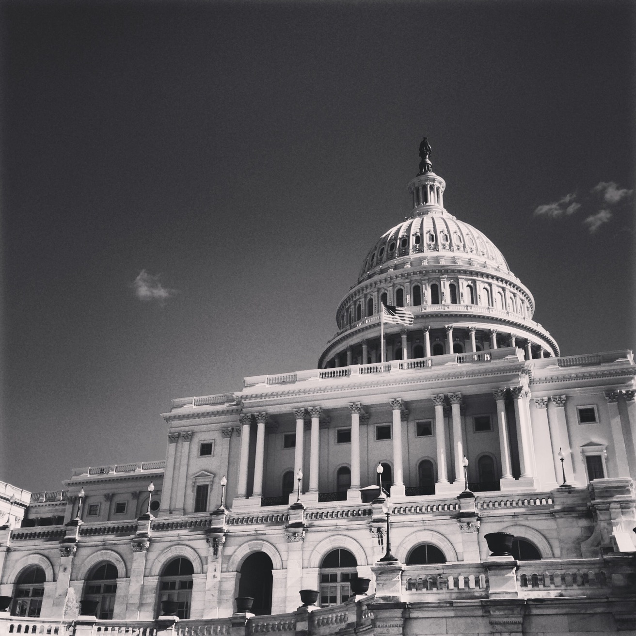 "Capitol Perspective"